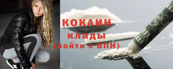 стаф Коряжма
