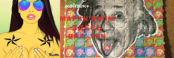 стаф Коряжма