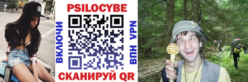 Галлюциногенные грибы Psilocybe  Красавино 